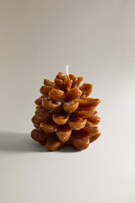 PINE CONE PUMPKIN SPICE SCENTED CANDLE | Zara US