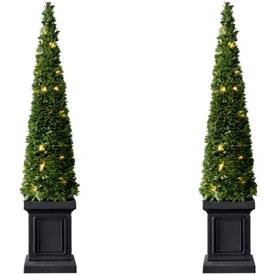 Fraser Hill Farm 40" Boxwood Topiary Cones with Square Pots and Clear LED Lights | Wayfair North America