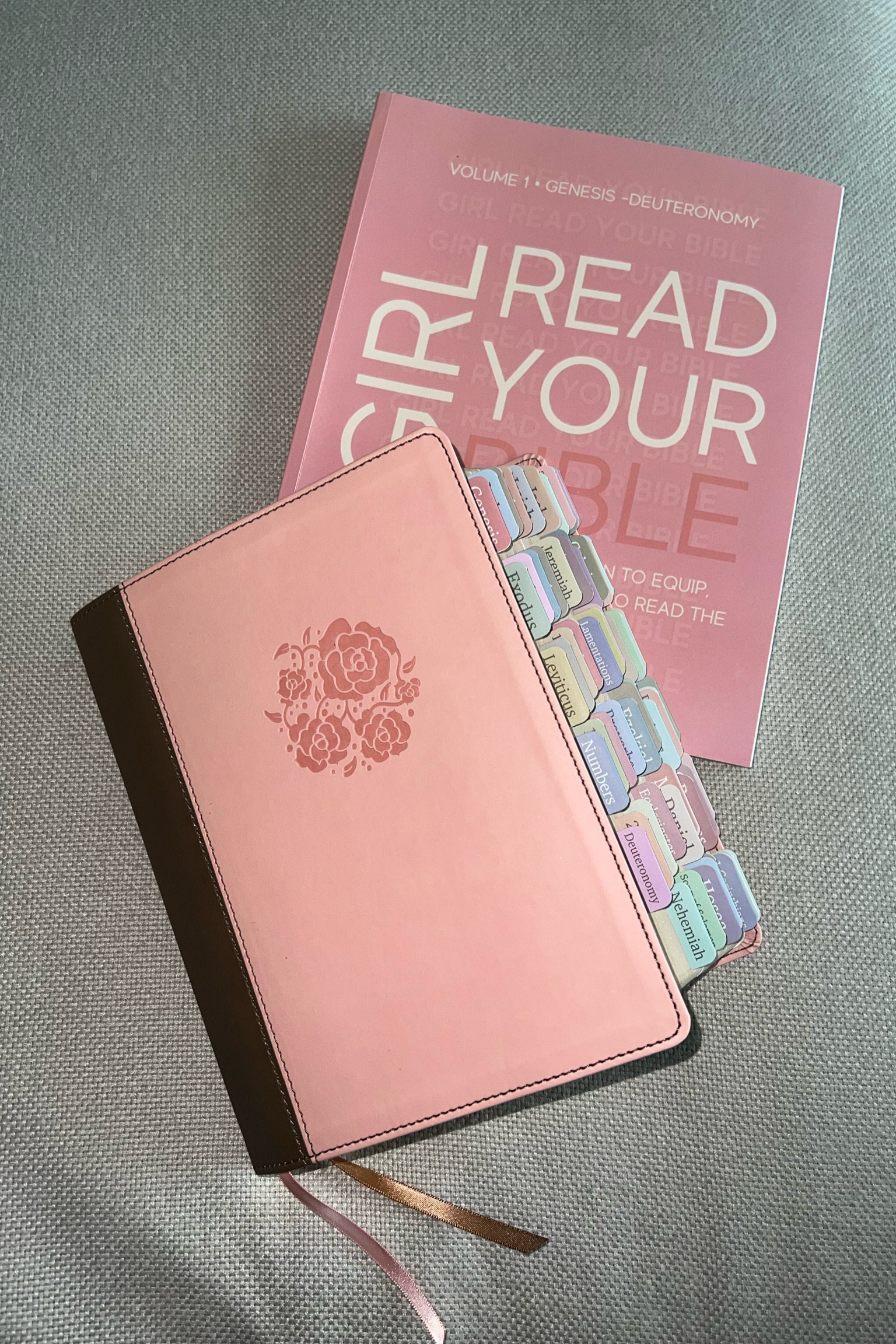 Bible, Bible tabs, and reading plan! 
