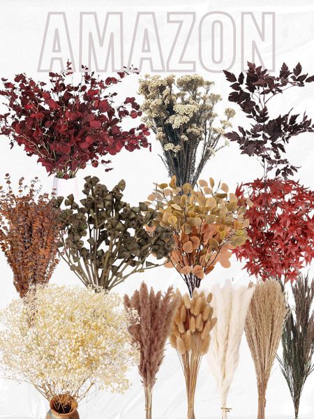 Amazon fall floral, dried floral decor, dried foliage, fall foliage, dried baby’s breath, dried pampas grass, dried eucalyptus, natural millet flowers

#LTKhome #LTKHoliday #LTKSeasonal