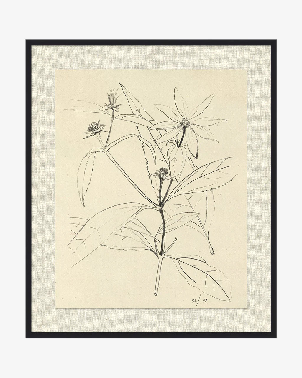 Floral Study 3 | McGee & Co.