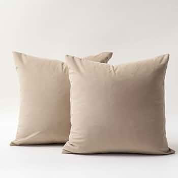DOMVITUS 20x20 Pillow Covers Set of 2 Velvet Throw Pillow Covers Decorative Pillows for Bed Squar... | Amazon (US)