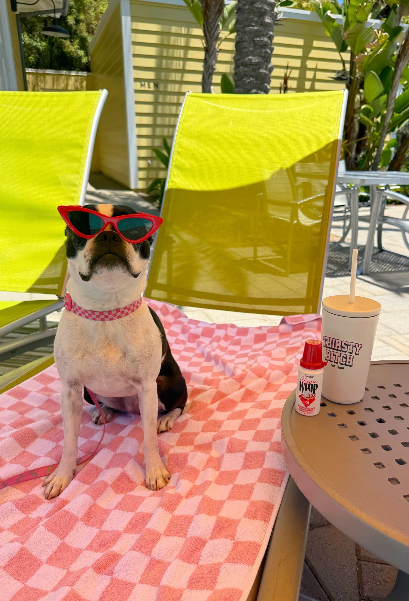 Vacation Pup 

#LTKTravel #LTKSeasonal #LTKStyleTip