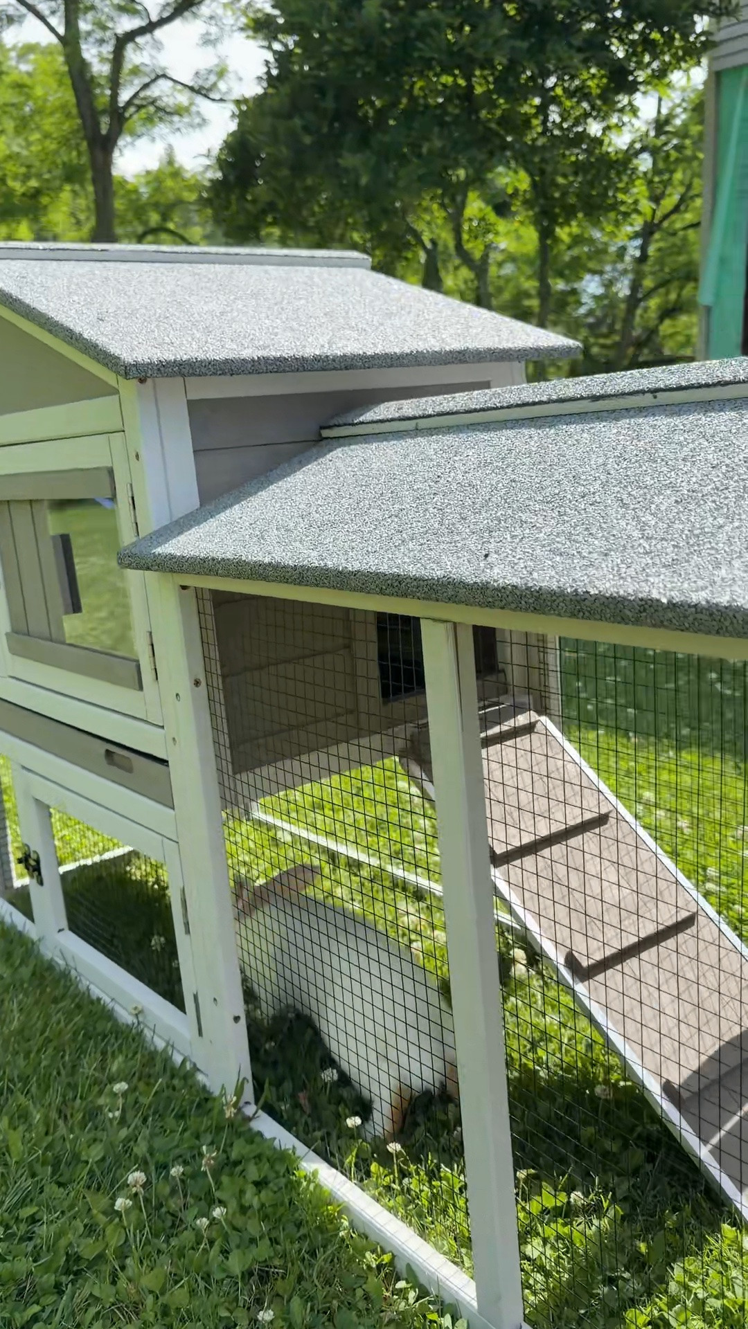 Rabbit hutch

#LTKSaleAlert #LTKHome