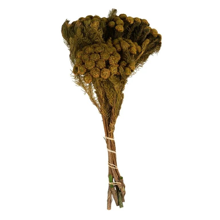 Vickerman 12-16" Aspen Gold Brunia Stem Bundle. Includes 4 oz per Bundle, Pack of 2, Preserved | Walmart (US)