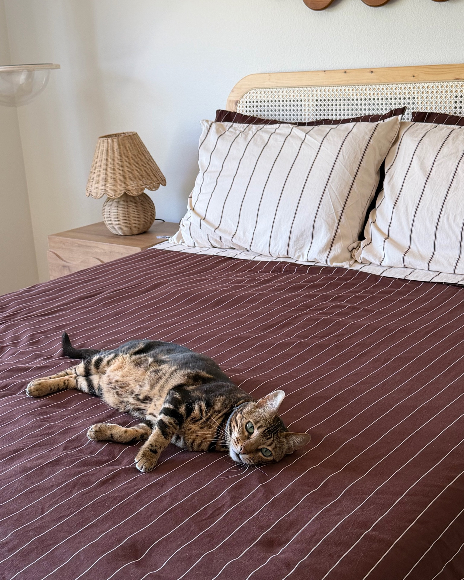 The perfect bed set 💌

#LTKdayinmylife #LTKHome