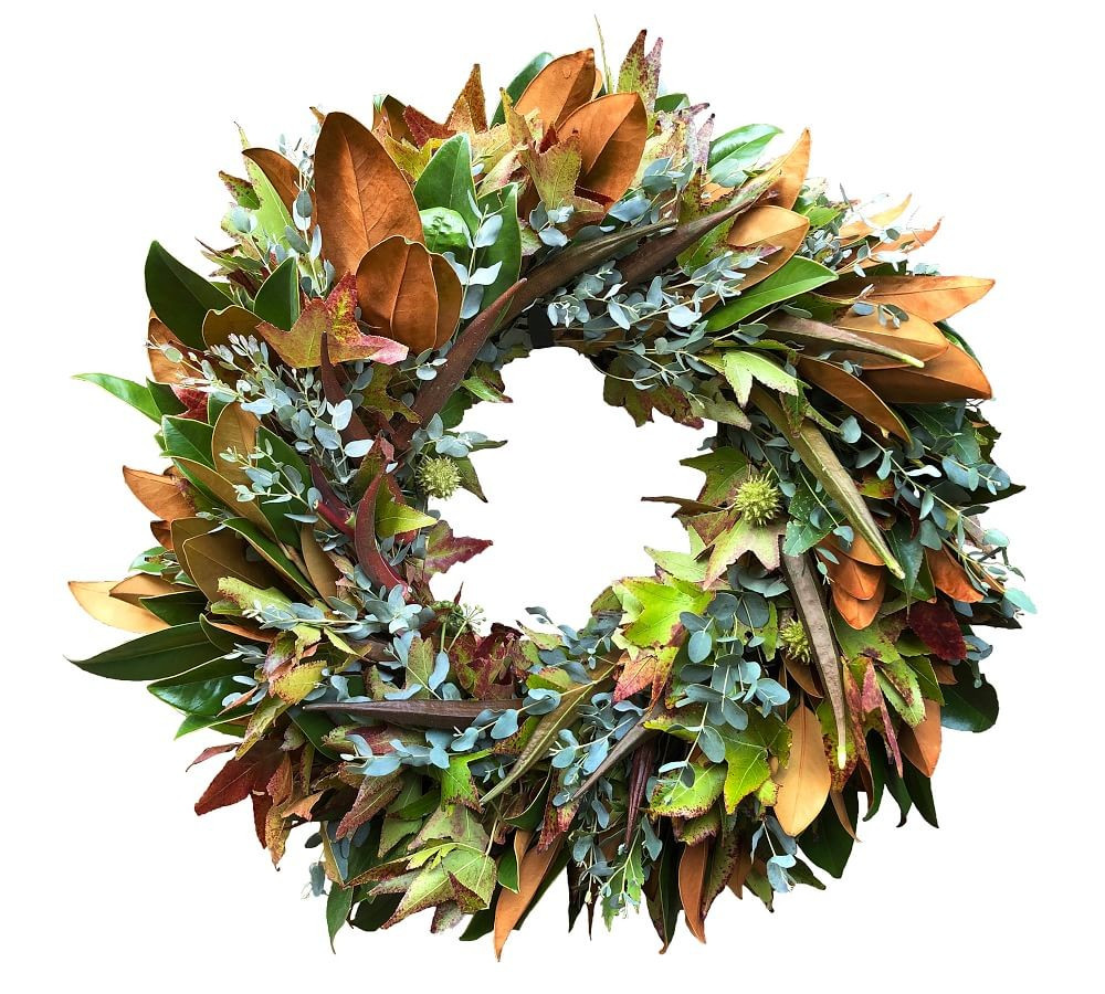 Fresh Magnolia and Eucalyptus Fall Wreath, 20" | Pottery Barn (US)