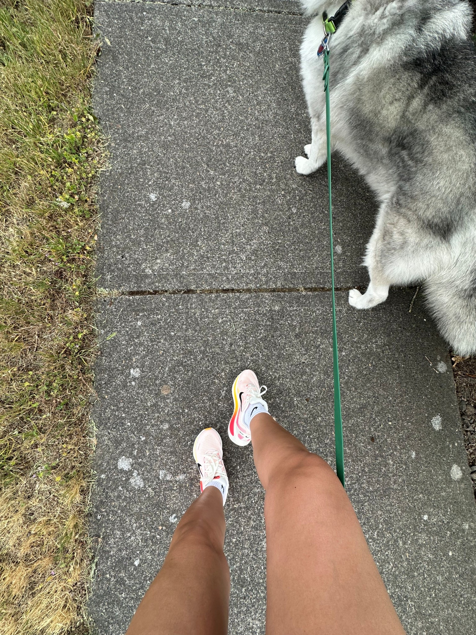Happy running! 🏃🏽‍♀️comfy running shoe

#LTKSummerEdit