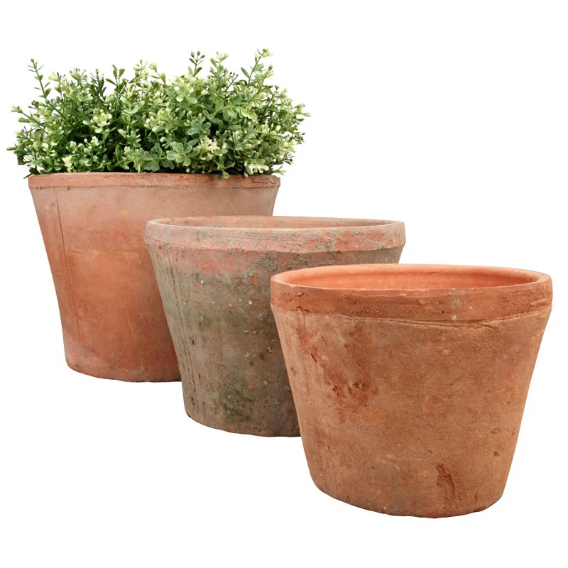 Linda Pot Planter | Wayfair North America