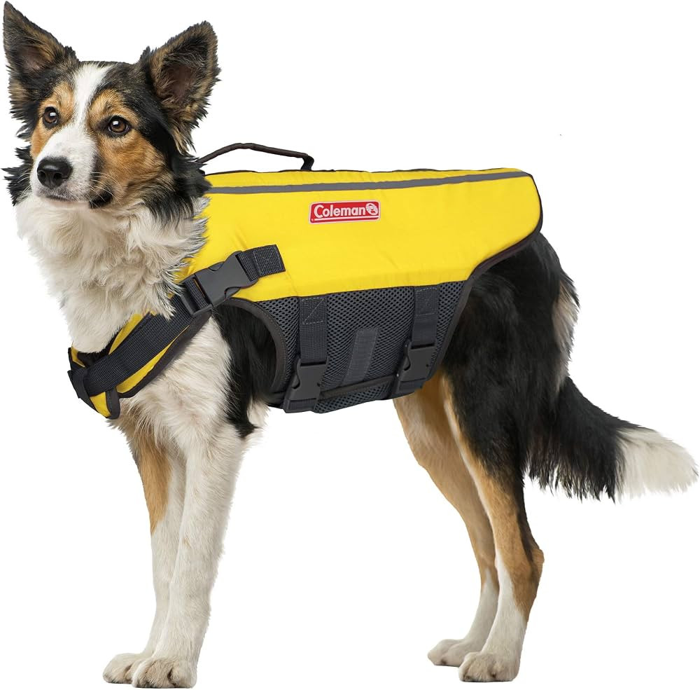 Coleman High Visibility Lifejacket for Small to Large Dogs, Yellow, Size Medium / 5" x 16" x 3"' | Amazon (US)