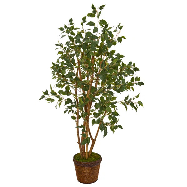 51" Artificial Ficus Tree in Planter | Wayfair North America
