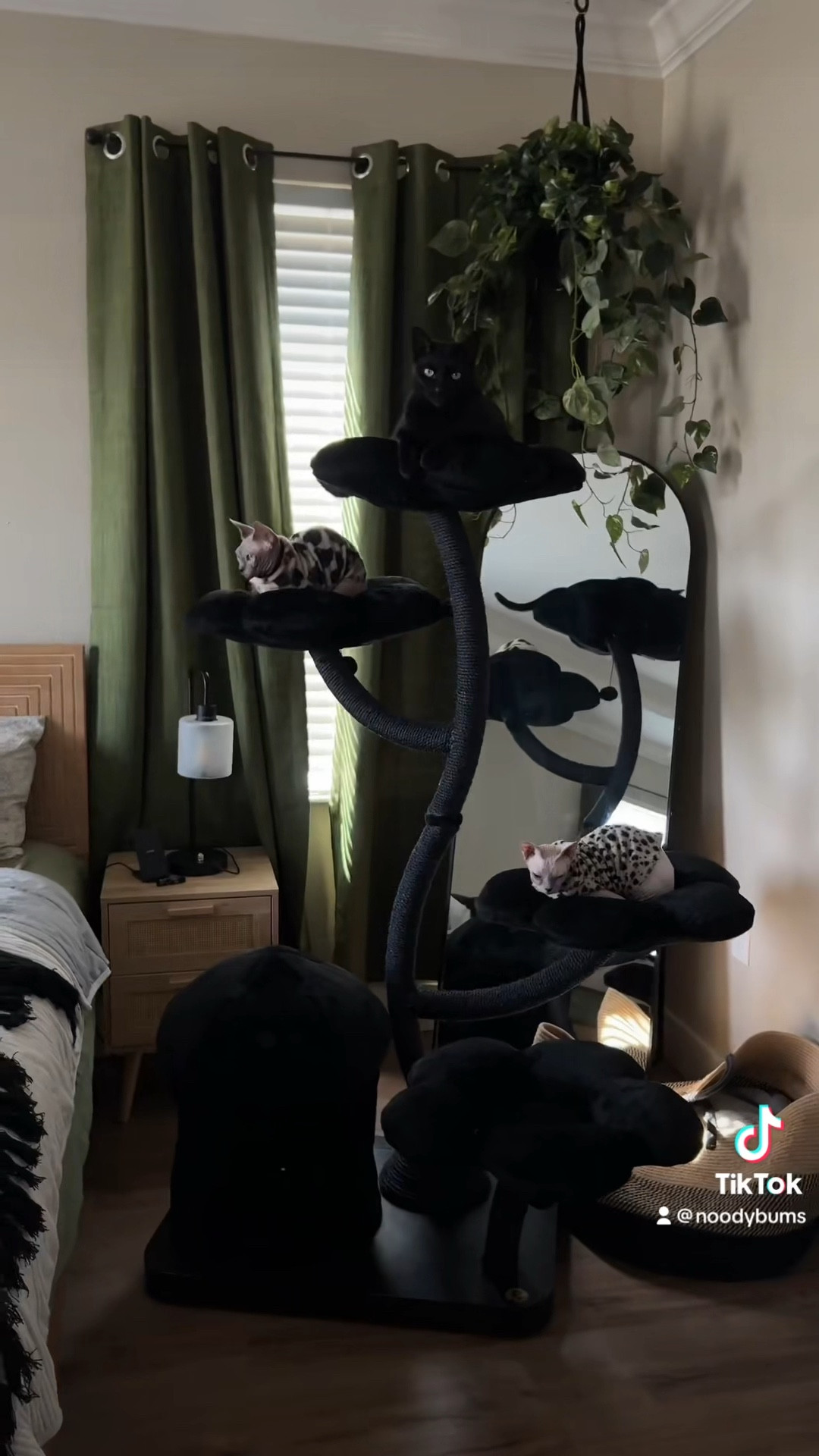 All Black Cat Tree 🖤

#LTKFind #LTKfamily #LTKhome
