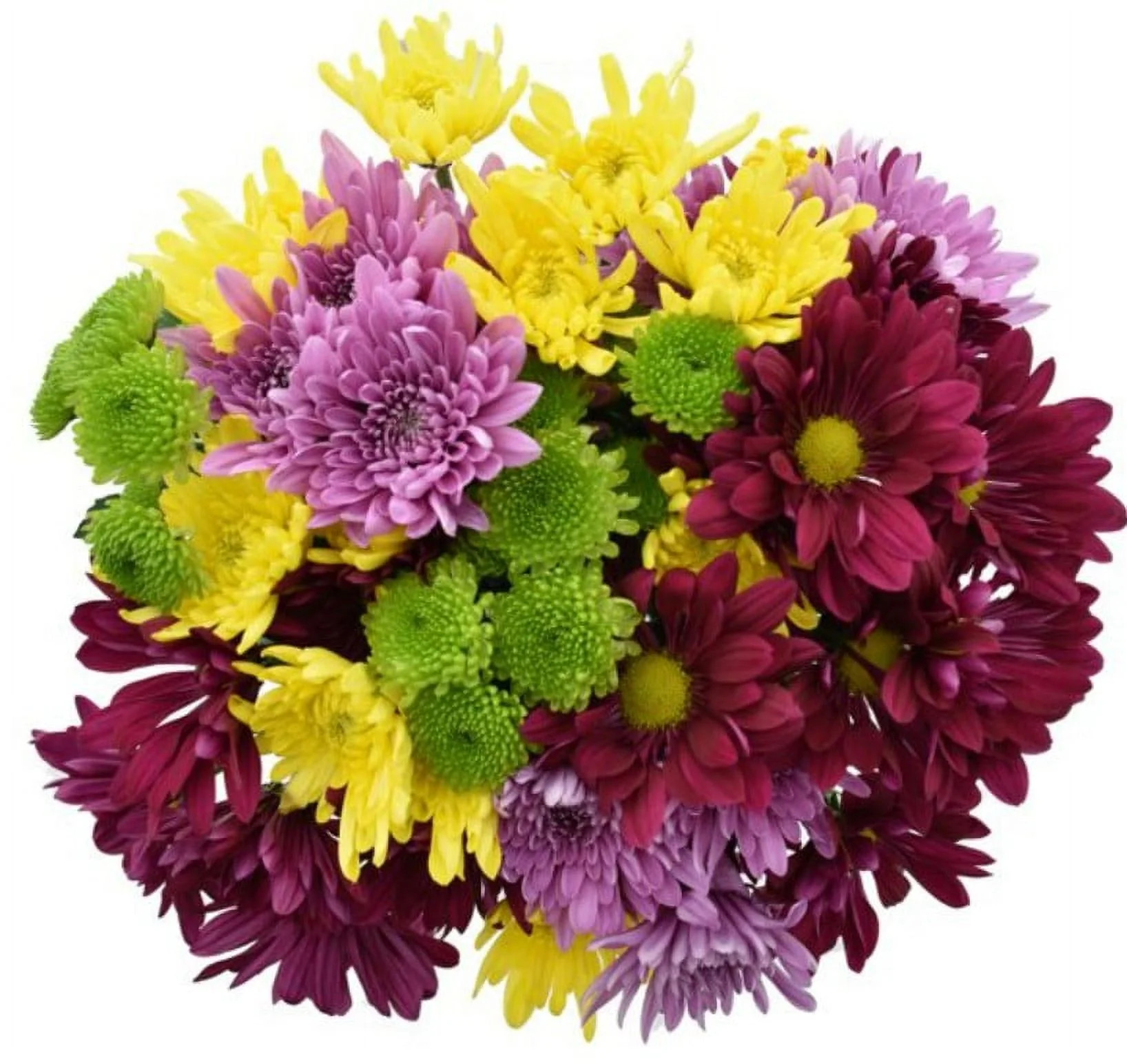 Rainbow Pom Flower Bunch Large | Walmart (US)