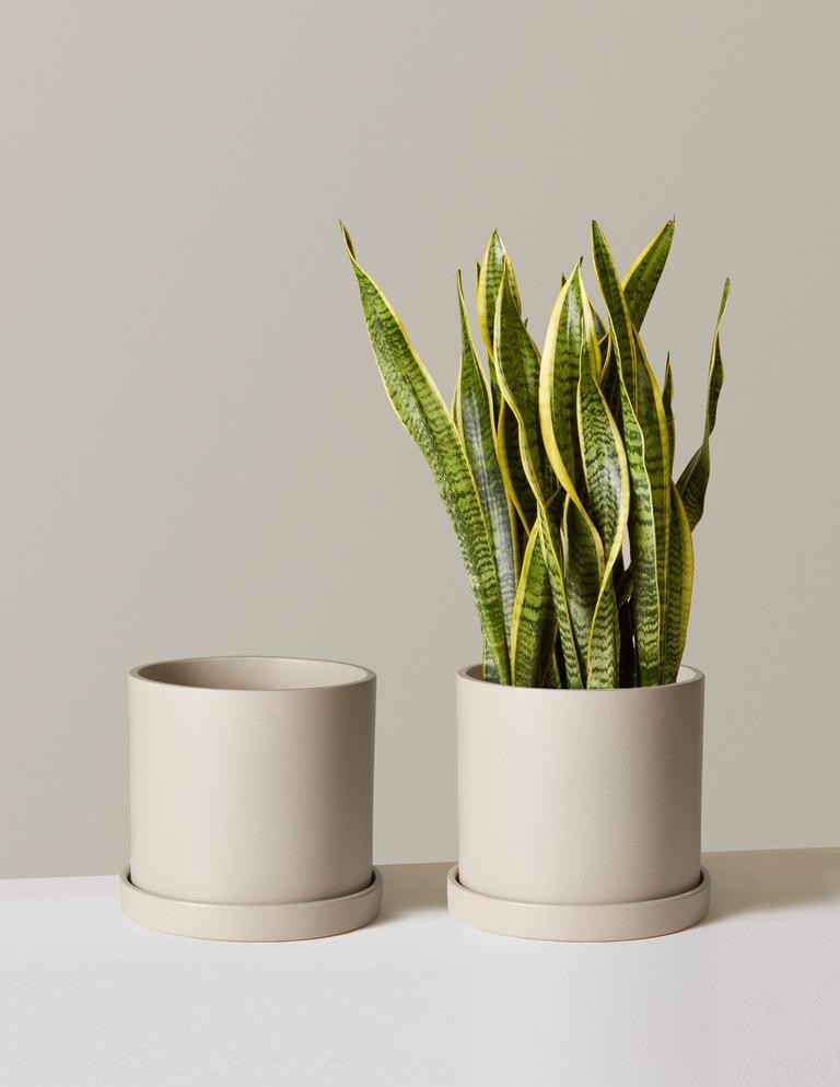 Hyde Planter | The Sill