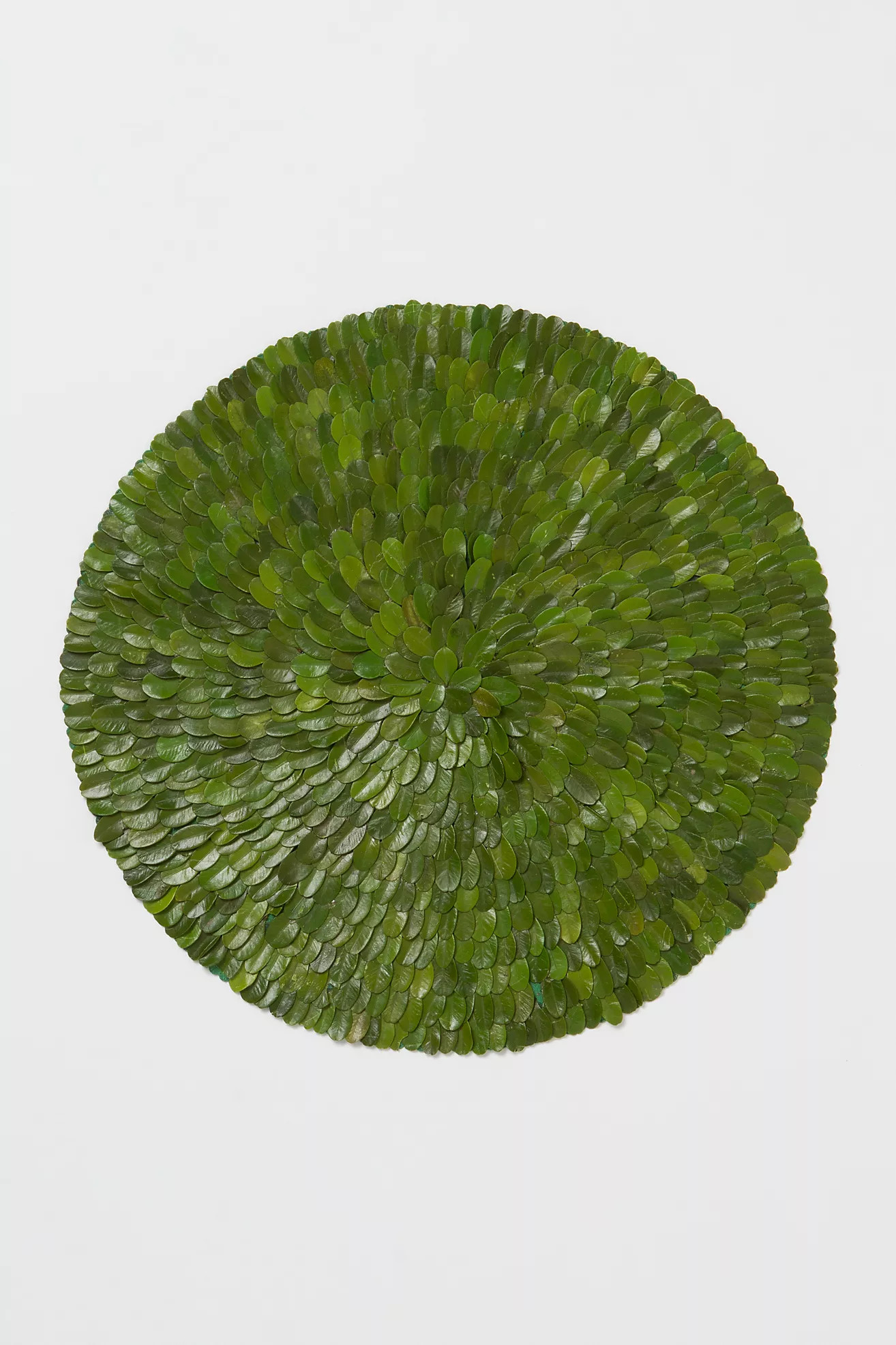 Preserved Boxwood Placemat | Anthropologie (US)