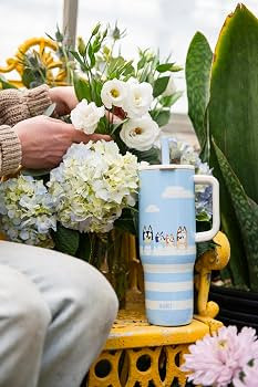 Zak Designs Bluey 30oz Spill-Proof Insulated Stainless Steel Travel Tumbler | Amazon (US)