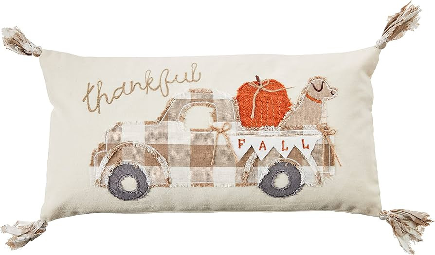 Mud Pie Fall Tassel Pillow, Tan | Amazon (US)