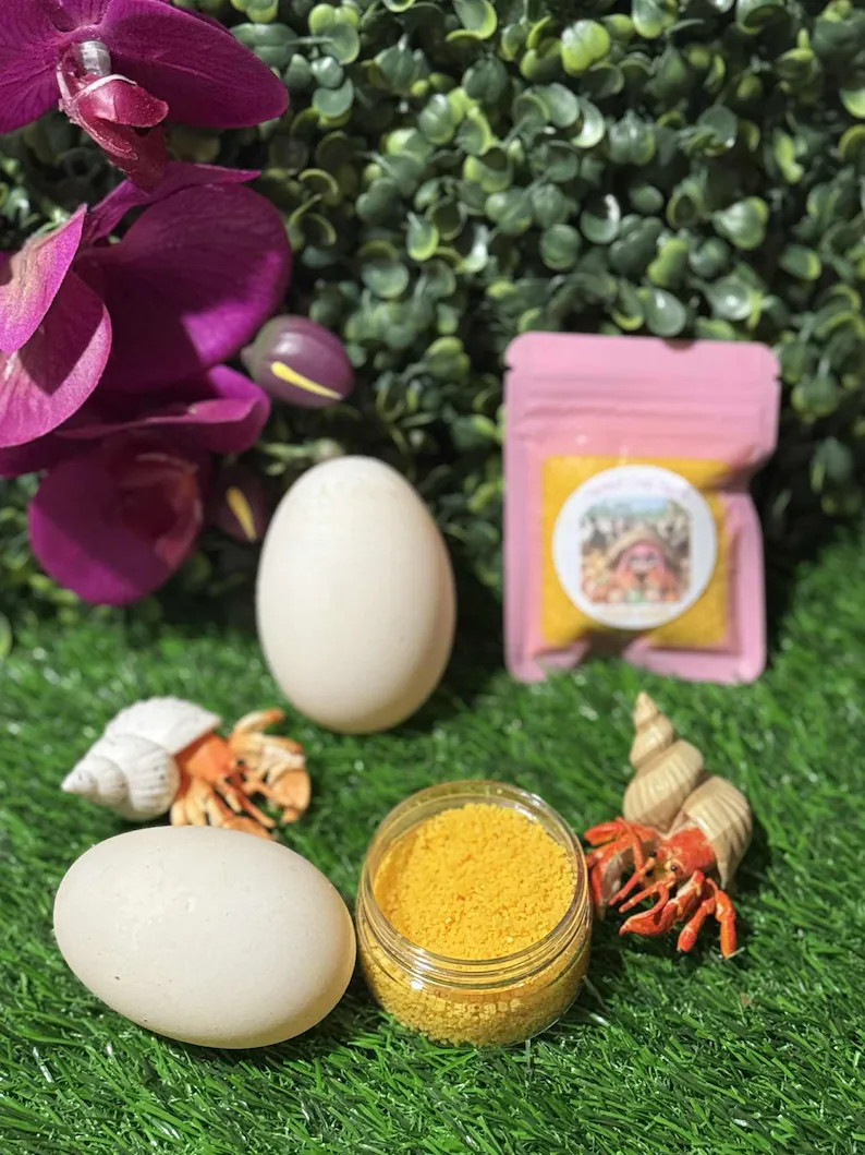 Hermit Crab Duck Eggs - Etsy | Etsy (US)