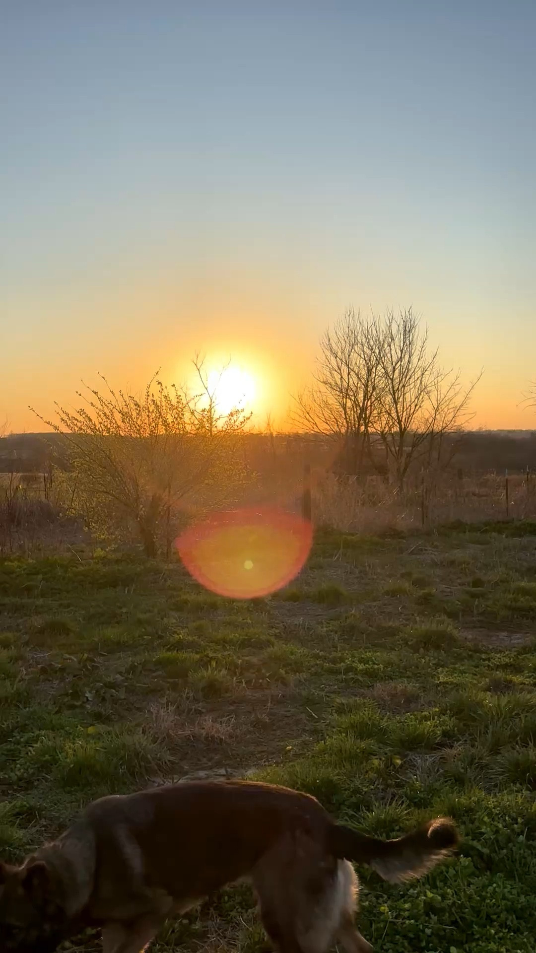 @walmartfavs @Wrangler @Tecovas @Cavender's 

#LTKSeasonal #LTKmomlife #LTKdayinmylife