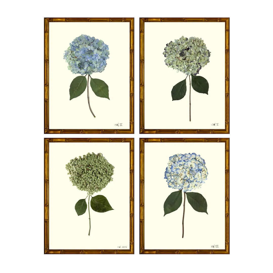 Set of Four Pressed Hydrangea Giclées No. I - Etsy | Etsy (US)
