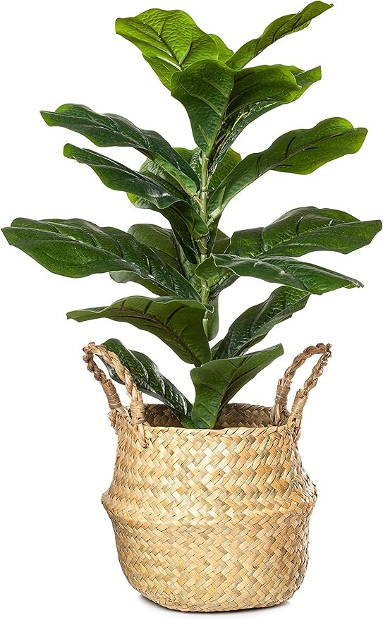 PLANTAE Artificial Fiddle Leaf Fig Tree Ficus Lyrata Faux Realistic 20" Inch Tall 18 Leaves for H... | Amazon (US)