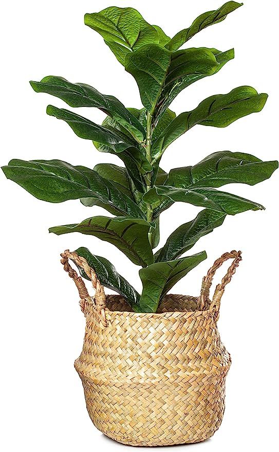 PLANTAE Artificial Fiddle Leaf Fig Tree Ficus Lyrata Faux Realistic 20" Inch Tall 18 Leaves for H... | Amazon (US)
