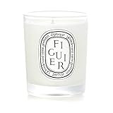 Figuier (Fig) Mini Candle 70 g by Diptyque | Amazon (US)