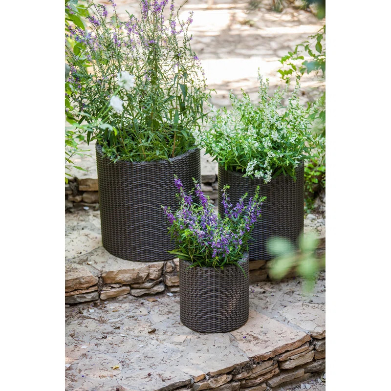 Kenyeta 3 - Piece Plastic Pot Planter | Wayfair North America