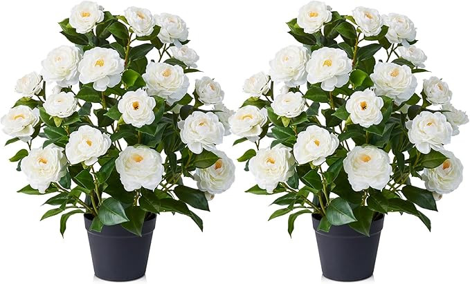VeriNatural Artificial Camellia Tree,2Ft(24") UV Resistant Artificial Outdoor Flowers,Fake Tree w... | Amazon (US)