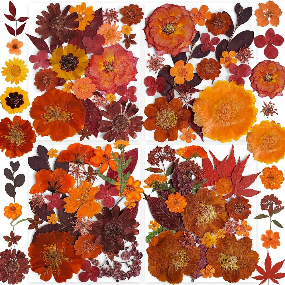 141PCS Brown Fall Dried Pressed Flowers for Resin - YouthBro Real Nature Flowers Butterfly Stiker... | Amazon (US)