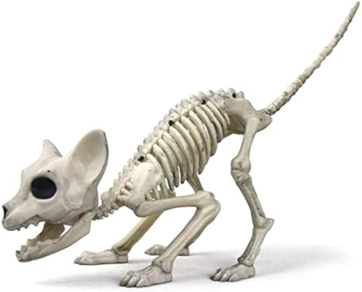 Halloween Skeleton Decoration Dog/Cat, Plastic Puppy/Kitty Skeleton Animal Yard Décor Reaper Bon... | Amazon (US)