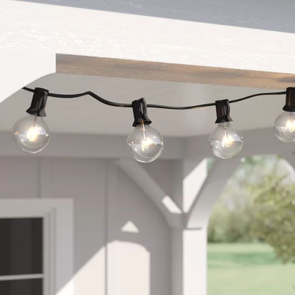 Alsip 50'' Outdoor 50 - Bulb Globe String Light (End to End Connectable) | Wayfair North America