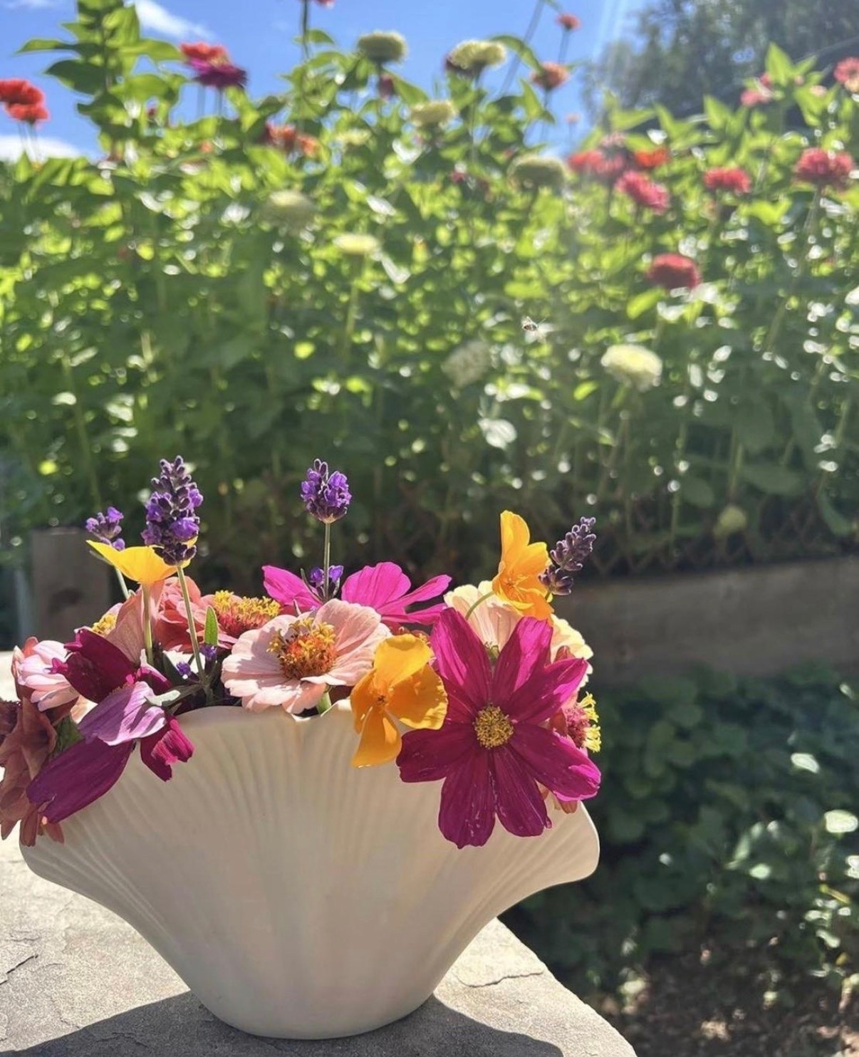 I don’t think I’ll ever get tired of this shell vase 🌸 Somehow it makes even the smallest handful of flowers look like a beautiful arrangement 💐

#LTKSeasonal #LTKHome #LTKSaleAlert
