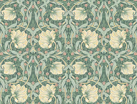 Peel and Stick Wallpaper  Self Adhesive Wallpaper  Botanical | Etsy | Etsy (US)