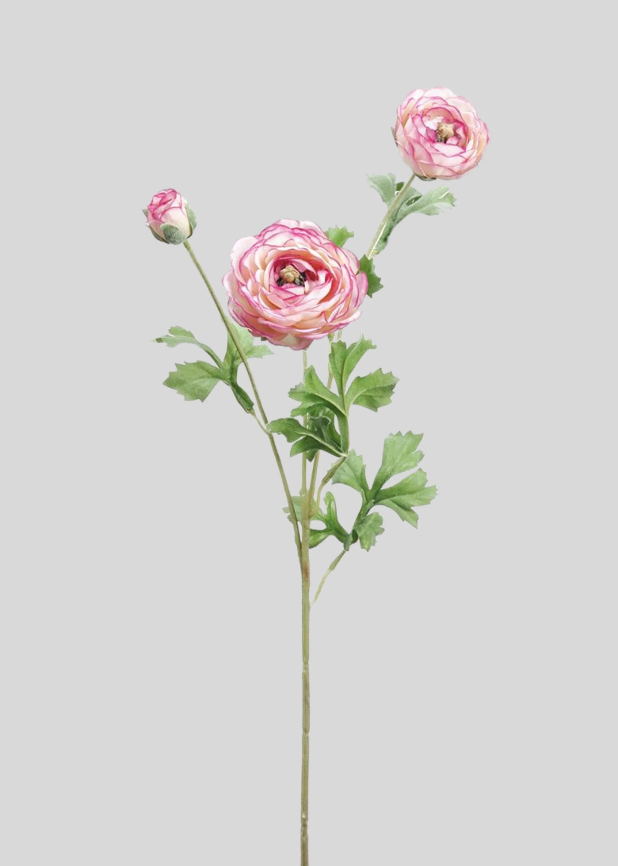 Pink and Cream Fake Ranunculus Flowers - 25.5 | Afloral