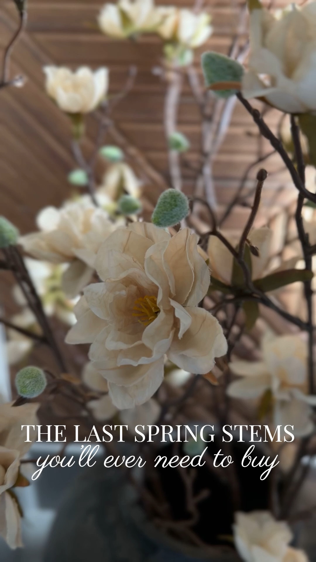 Yes. They’re THAT GOOD!!! These STUNNING Amazon stems will seriously be the last spring stems you ever need to buy! They’re so pretty 🤩 . They’re this gorgeous champagne color with a magnolia flower and just the perfect touch of greenery! They’re the most stunning addition to my spring home decor!  Beyond happy with this purchase! 

#LTKHome #LTKselfcare #LTKSaleAlert