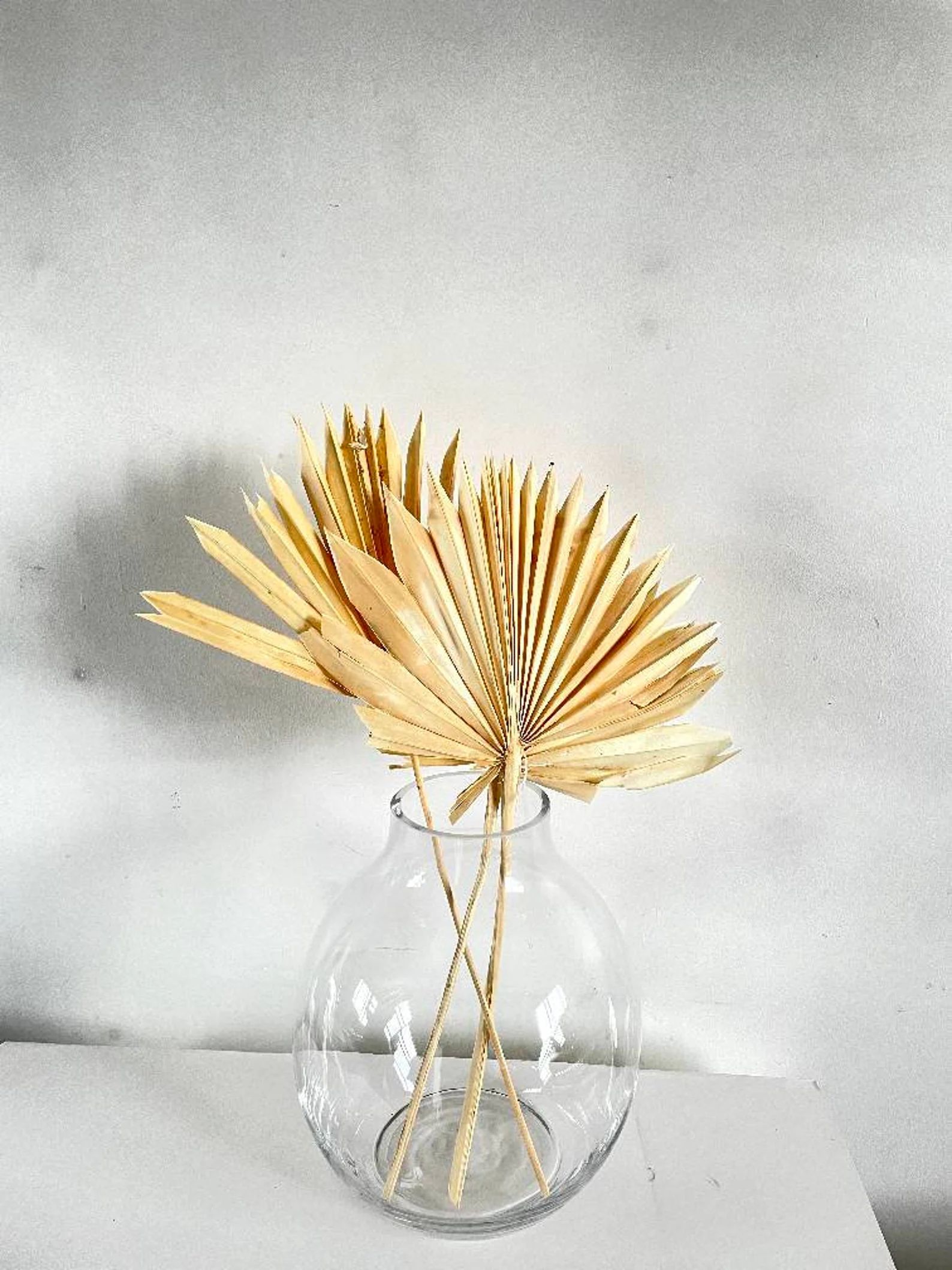 Bleached Wheat Sun Palm | Sun Dried Palm Leaf | Dried Fan Palm Spears | Dried Florals | DIY Dried... | Etsy (US)