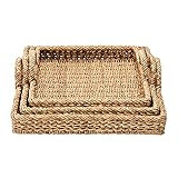 Creative Co-Op S/3 Decorative Water Hyacinth Tray, Natural, 3 | Amazon (US)