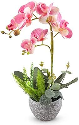 Yobansa Orchid Bonsai Artificial Flowers with Imitation Porcelain Flower Pots Phalaenopsis Fake F... | Amazon (US)