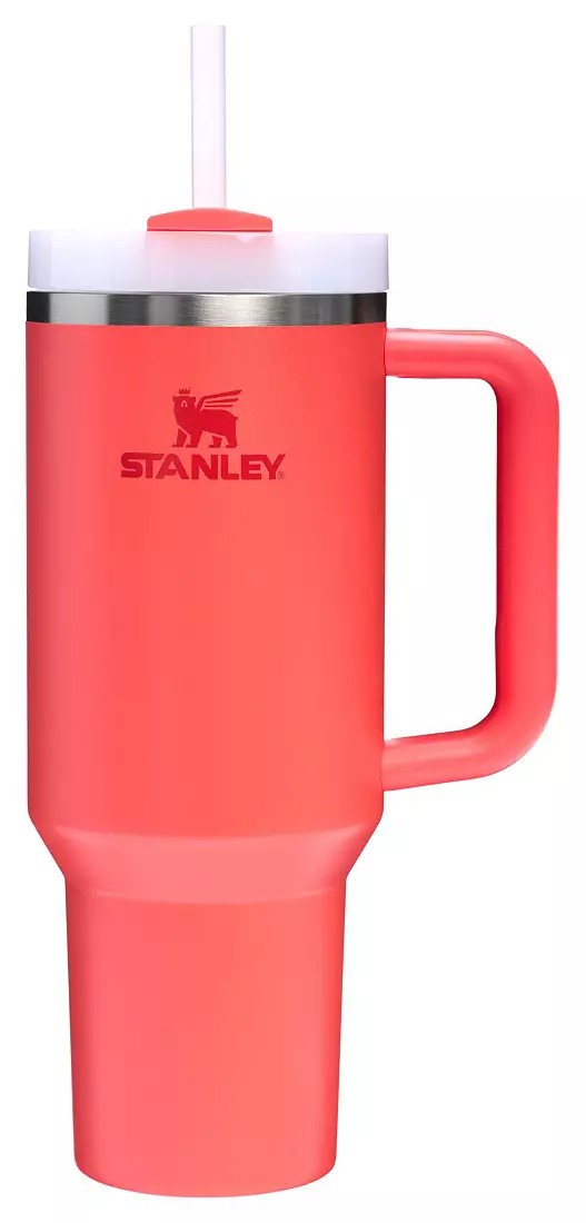 Stanley 40 oz. Quencher H2.0 FlowState Tumbler | DICK'S Sporting Goods