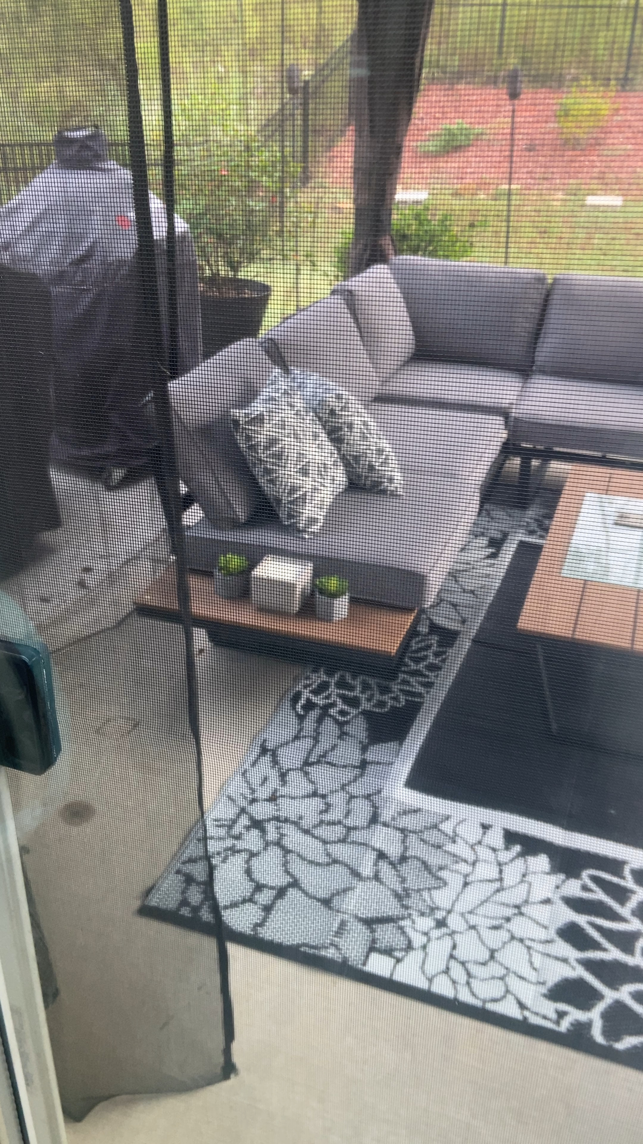 Perfect Pillow! As you can see our backyard is coolin out in gray so these pillows from At Home really stepped up the vibe.

#LTKSeasonal #LTKStyleTip #LTKHome