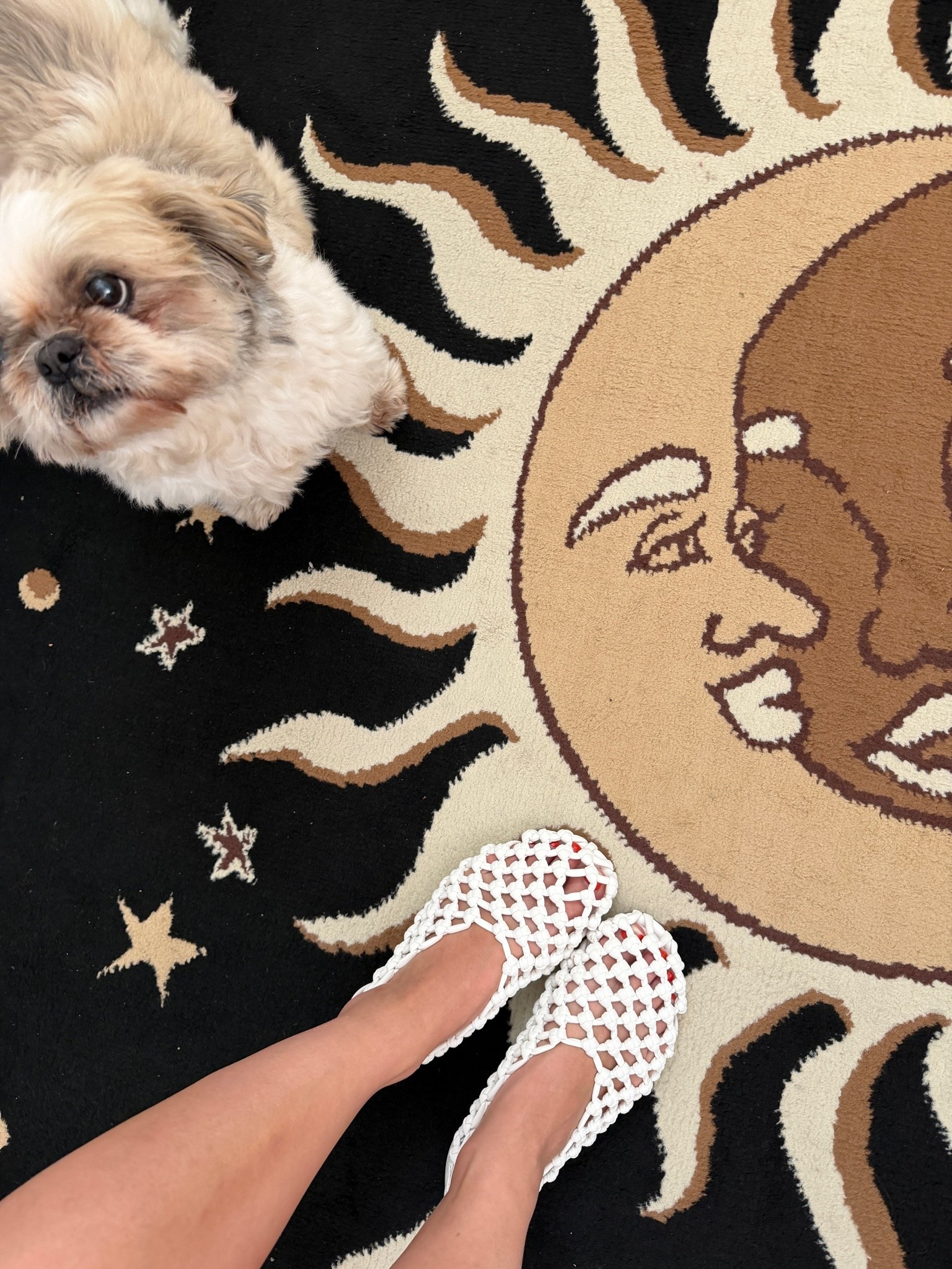 Crochet flats from Walmart

#LTKMidsize #LTKPetite #LTKSeasonal