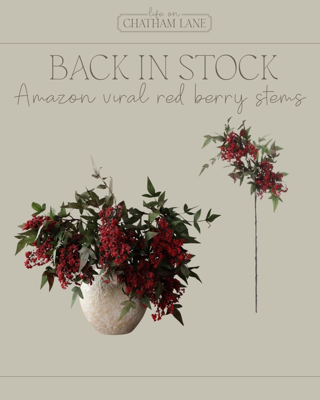 The viral red berry stems from Amazon are back in stock!  Comes in a pack of 3 stems!  Hurry- these won’t last long!

#LTKHome #LTKHoliday #LTKSeasonal