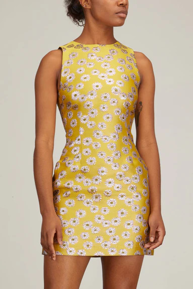 TGIF Dress in Margarita | Hampden Clothing