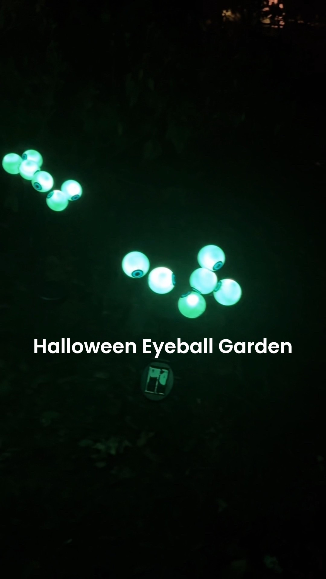 Nothing says the fun house like a Halloween Eyeball Garden! My kids and I have so much fun planting these for the walkers.

#LTKKids #LTKFamily #LTKSeasonal