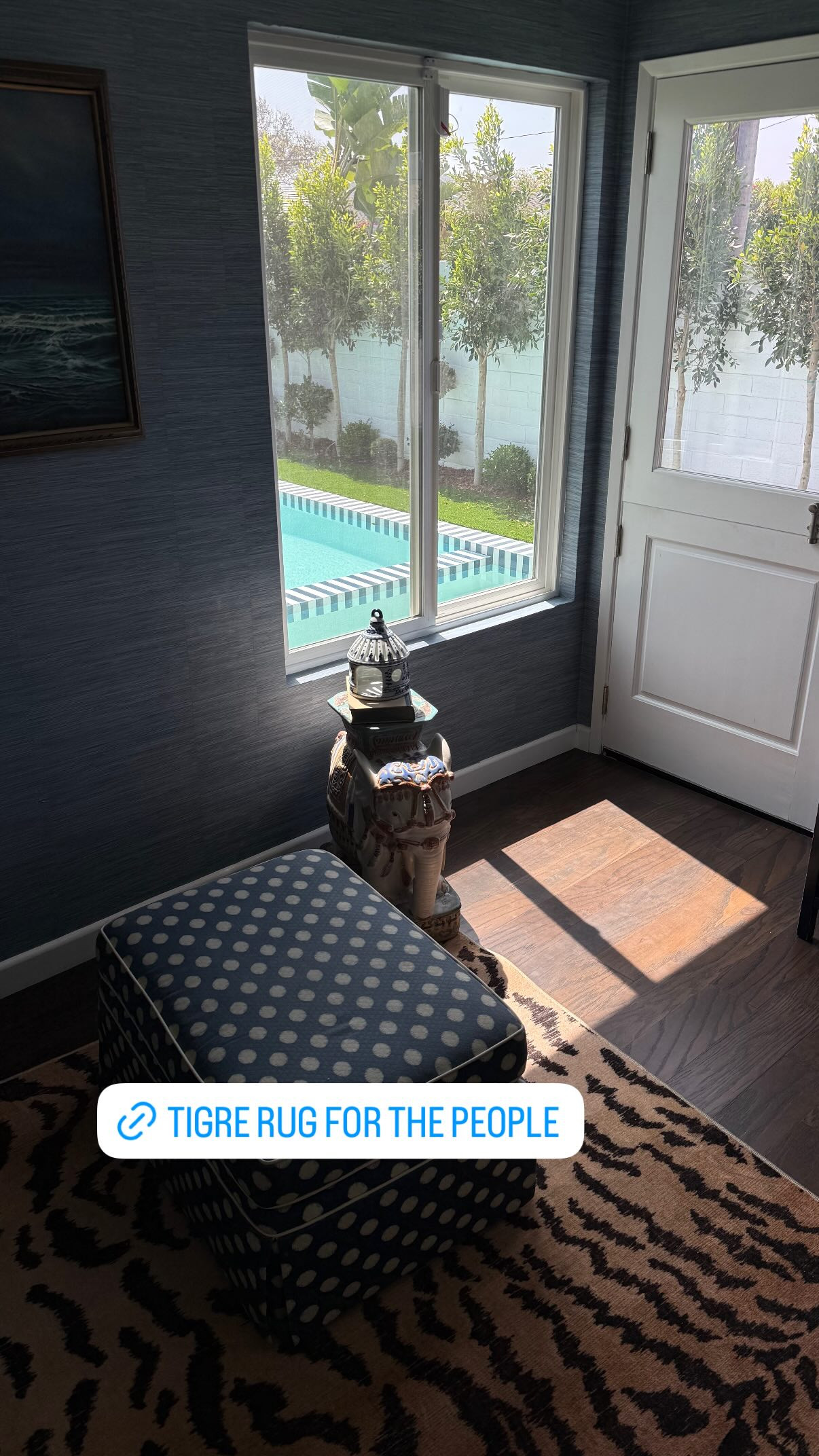 Tiger rug for the people