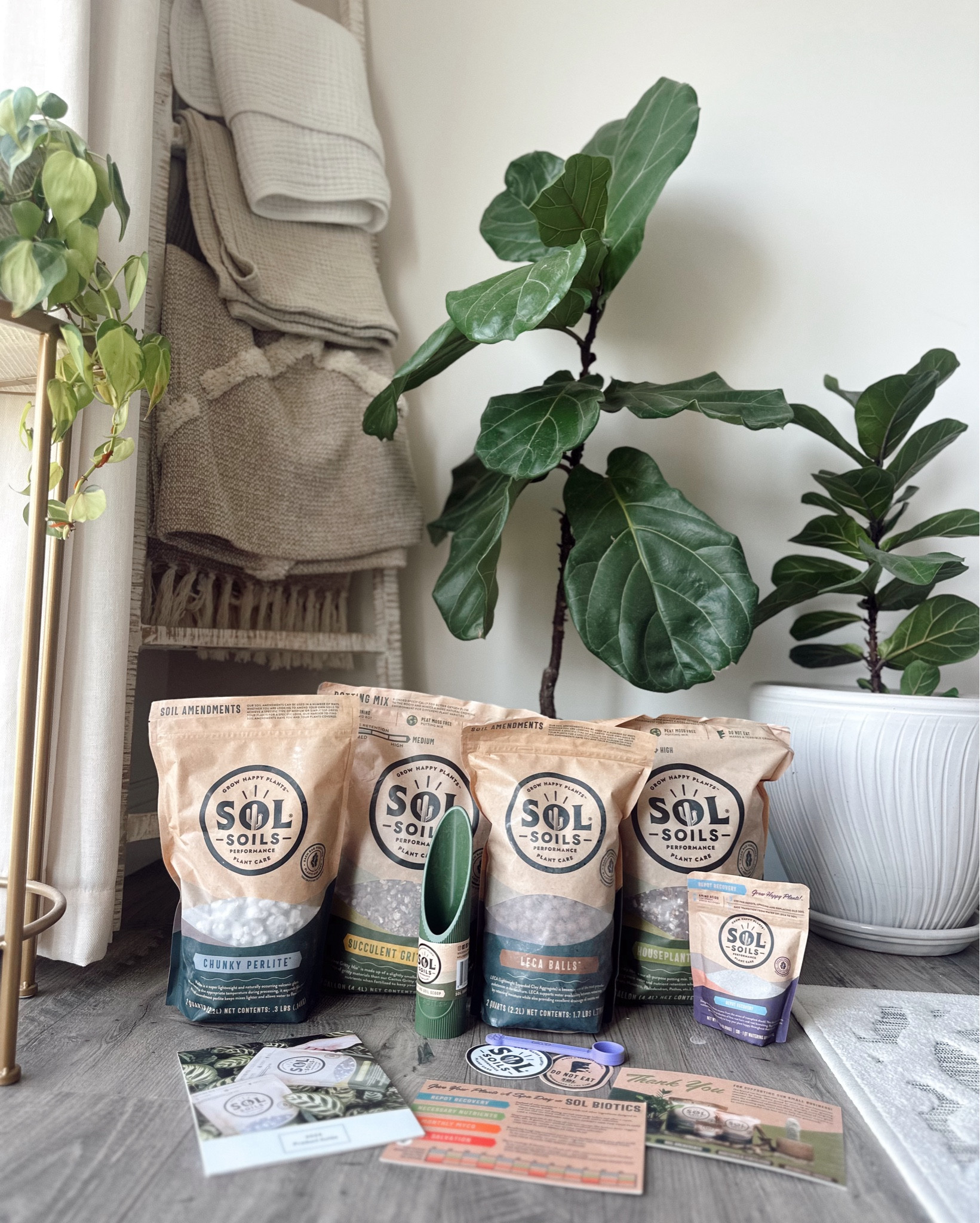 Just got the dreamiest PR package from Sol Soils and I’m officially obsessed 🌱 

This brand creates high-quality, chunky, peat-free soil blends that help prevent root rot and support healthy plant growth—perfect for all my indoor plant babes. Each mix is handcrafted and designed to mimic the natural environments our plants actually love. They even offer natural soil additives like biochar and worm castings to give your plants the nutrients they need to truly thrive. If you’re a plant mama like me, you’re going to LOVE this brand! 💚
#gifted #SolSoils #IndoorPlantCare #PlantLover #PlantMama #PeatFreeSoil #LTKhome #LTKplantstyle


#LTKFamily #LTKHome #LTKSeasonal