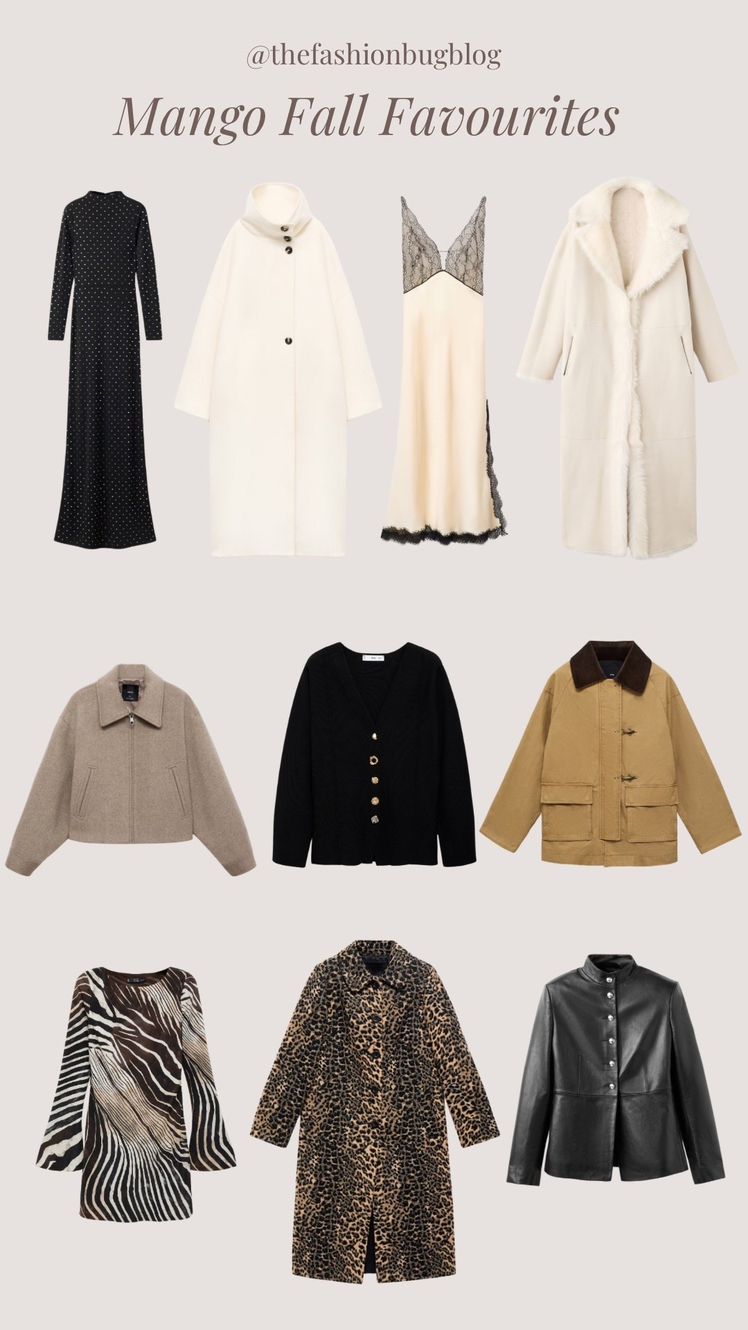 Mango autumn favourites 