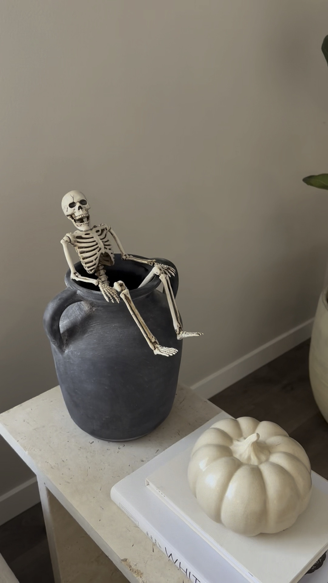 Decorate my house for fall with me 🍁 everything in this video are linked! 

#LTKHalloween #LTKhome #LTKSeasonal