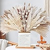 Nadong 102pcs Dried Pampas Grass Bouquet,Fall Decorations for Home,Boho Home Decor Bouquet,17" Pa... | Amazon (US)